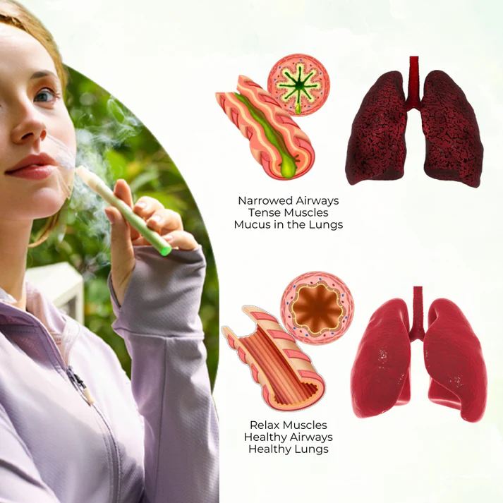 🔥 Blizkox™ Mullein Aroma Diffuser – Relief for Cough, Congestion & Breathing Comfort💝